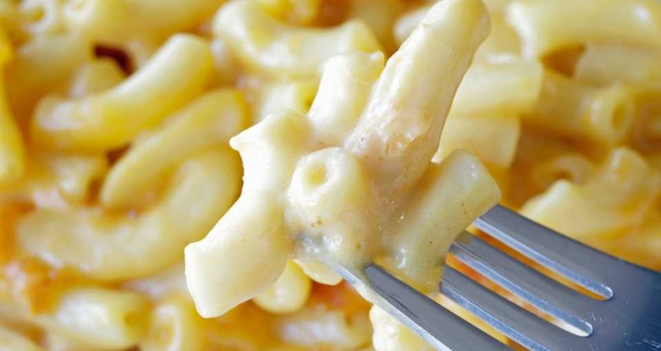 14 Substitutes for Milk in Mac and Cheese  Cooking Chops