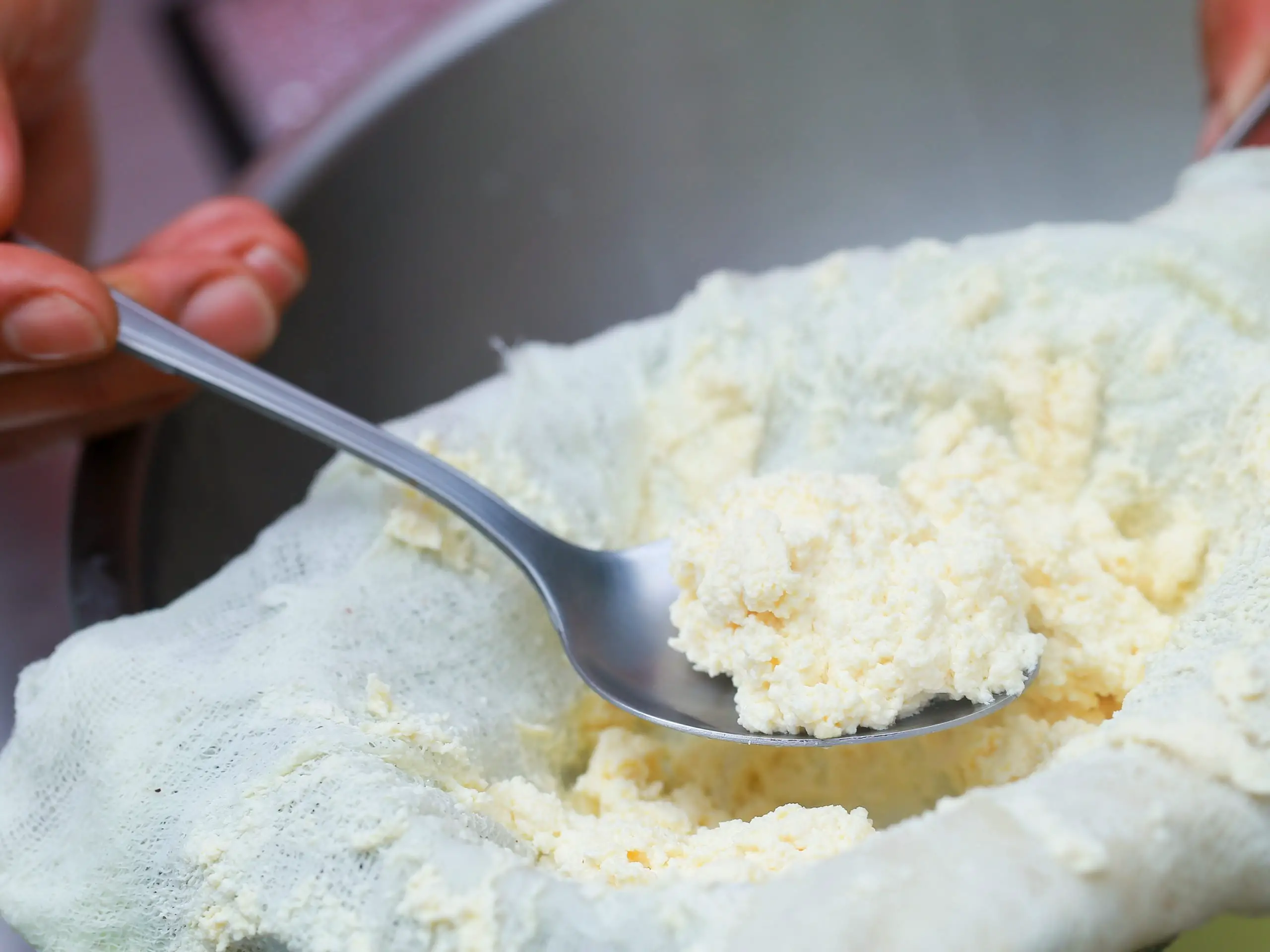 4 Easy Ways to Make Ricotta Cheese (with Pictures)