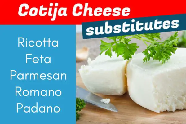 5 Best Cotija Cheese Substitutes
