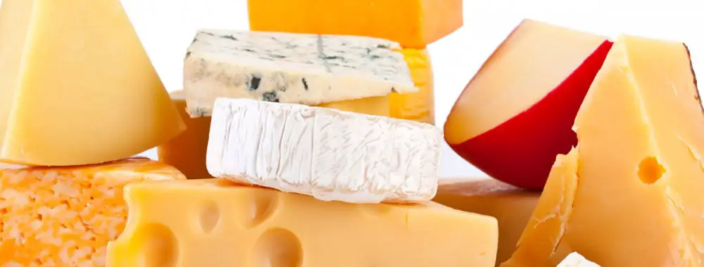 5 Healthiest Cheese You Should Eat