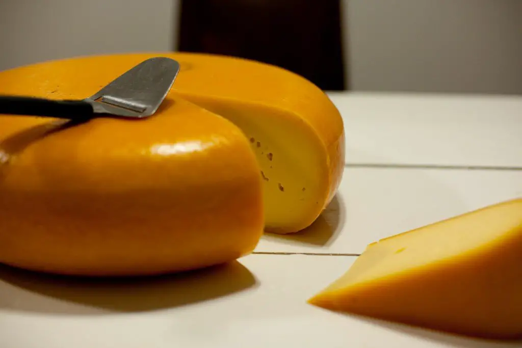 A Brief History of Gouda Cheese