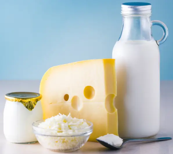 Avoid osteoporosis and other diseases: 5 foods that ...