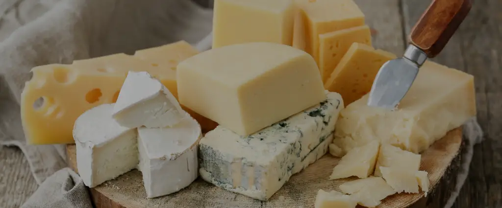 Bulk Cheese Wholesale