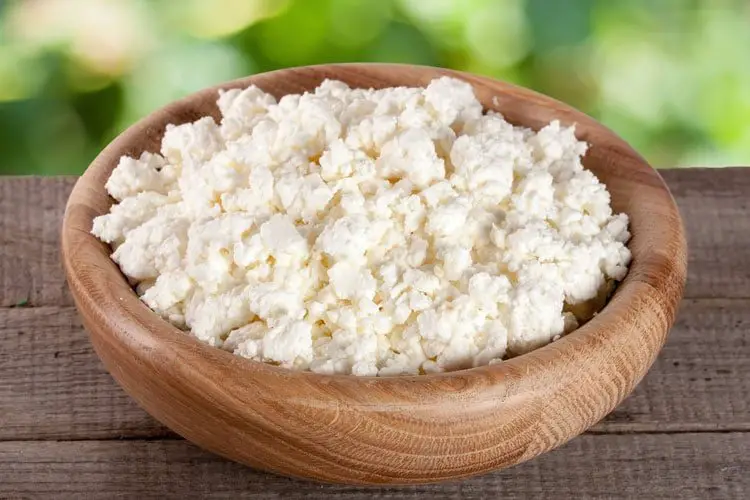 Can Dogs Eat Cottage Cheese? Is Cottage Cheese Good For Dogs?