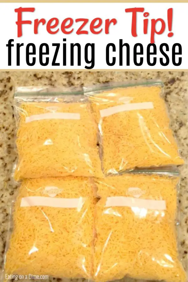 Can you freeze cheese