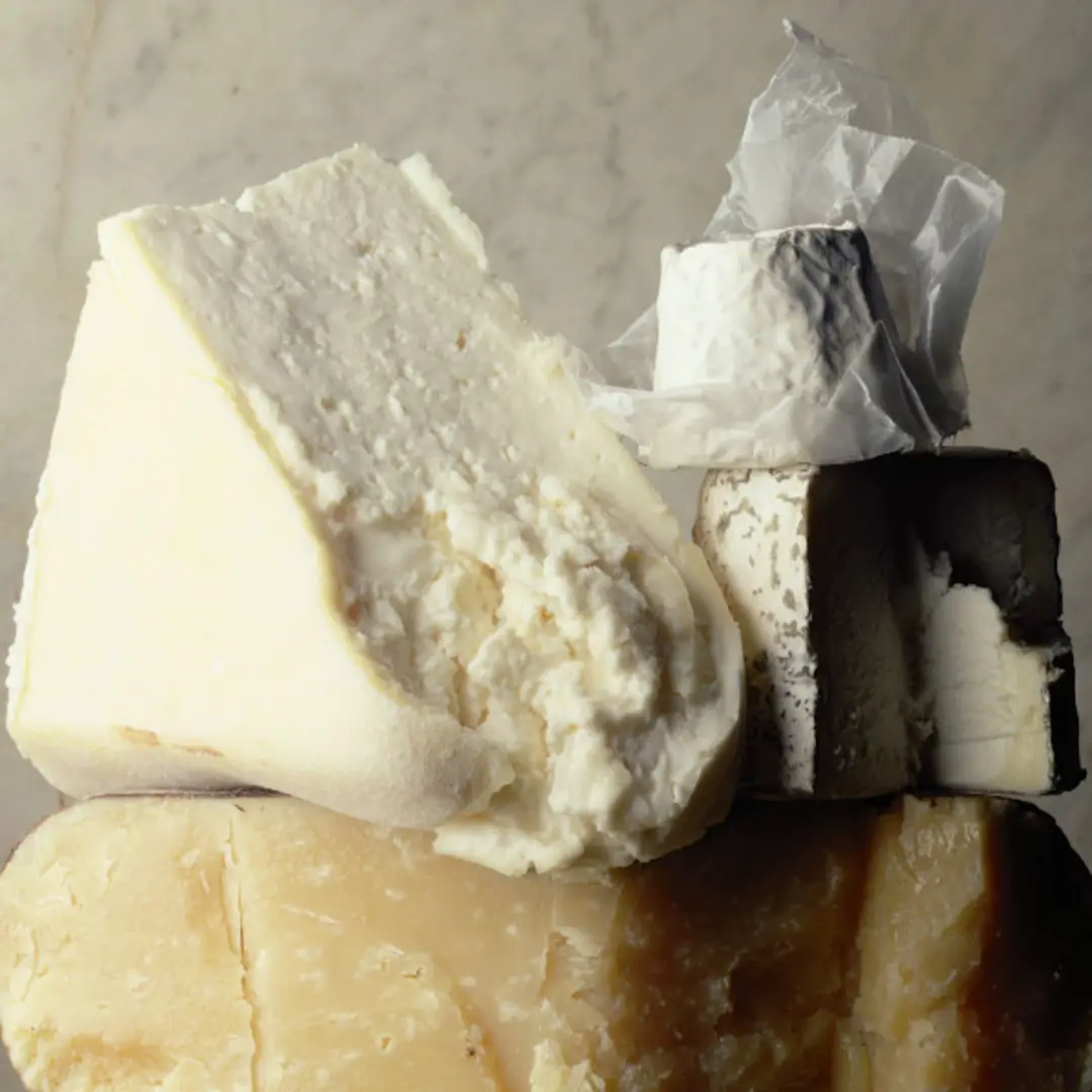 Cheese Is Basically a Drug, Study Finds