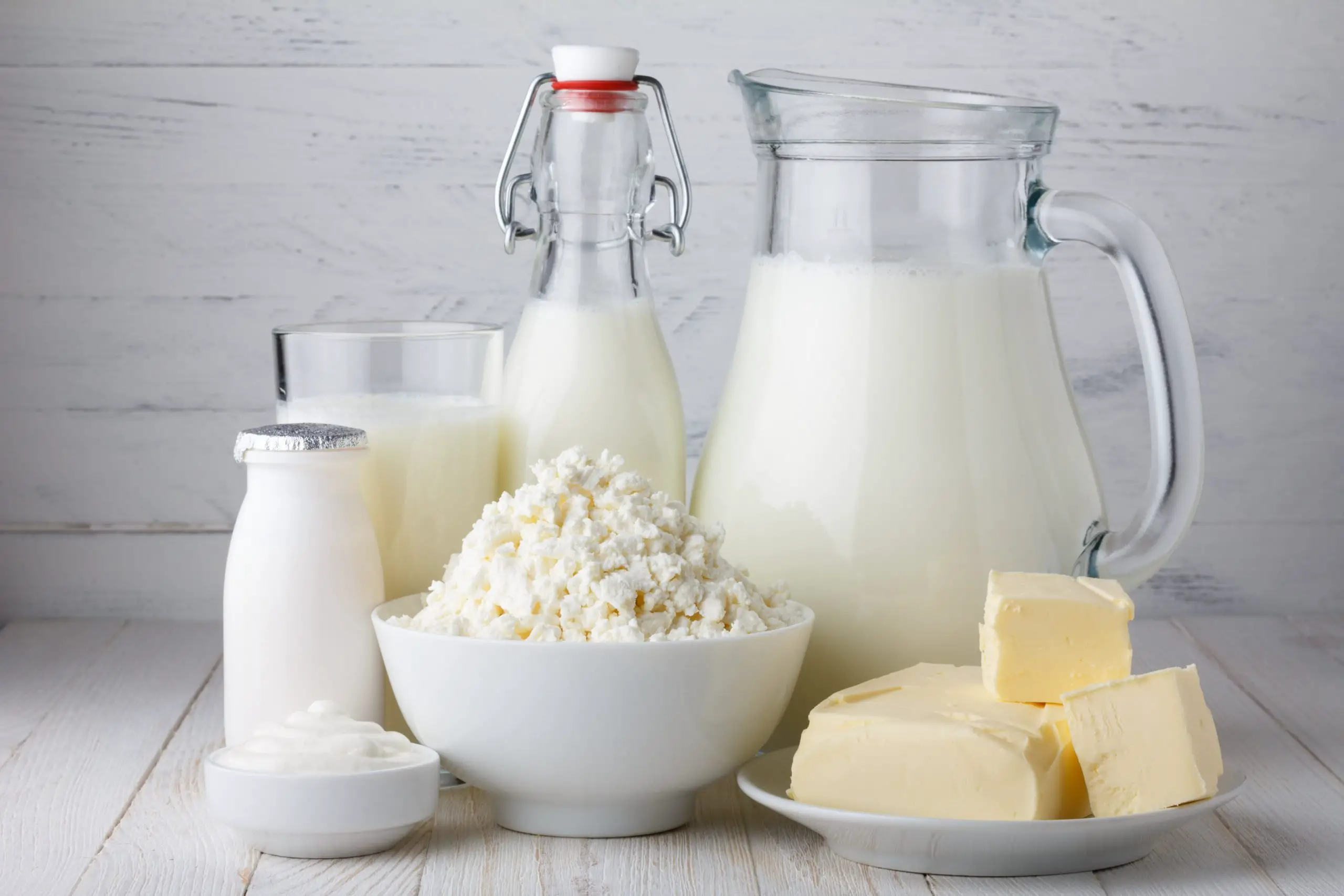 Dairy and Lactose. A blog by Monash FODMAP the experts in ...
