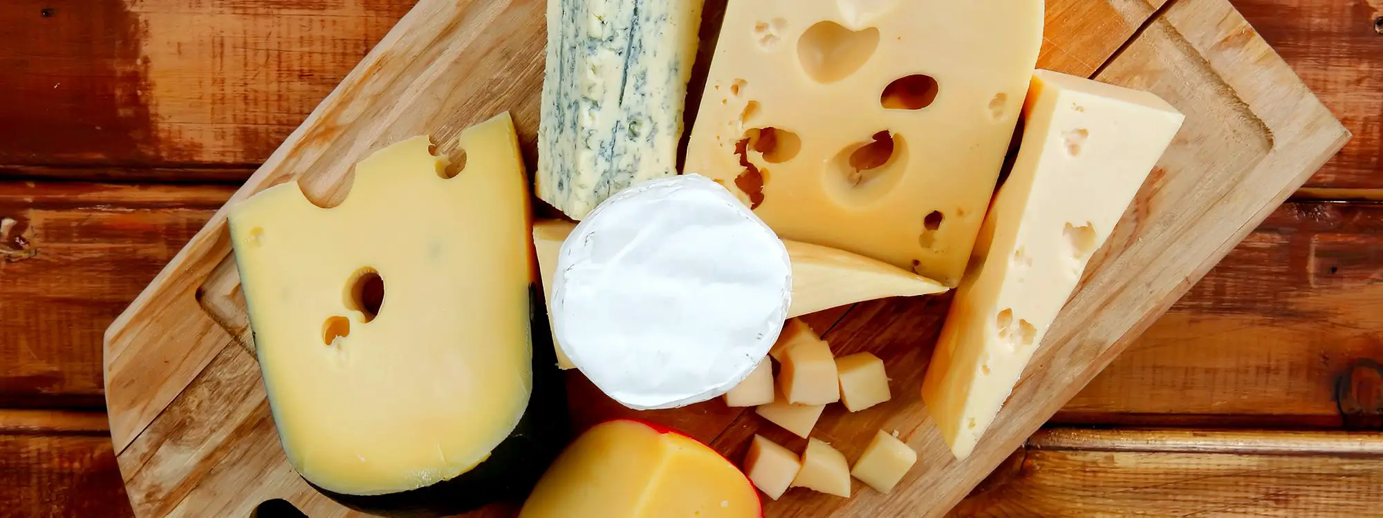Does Cheese Have Protein?