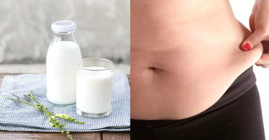 Does Drinking Milk Can Makes Us Gain Weight, How Dairy Effect Your ...