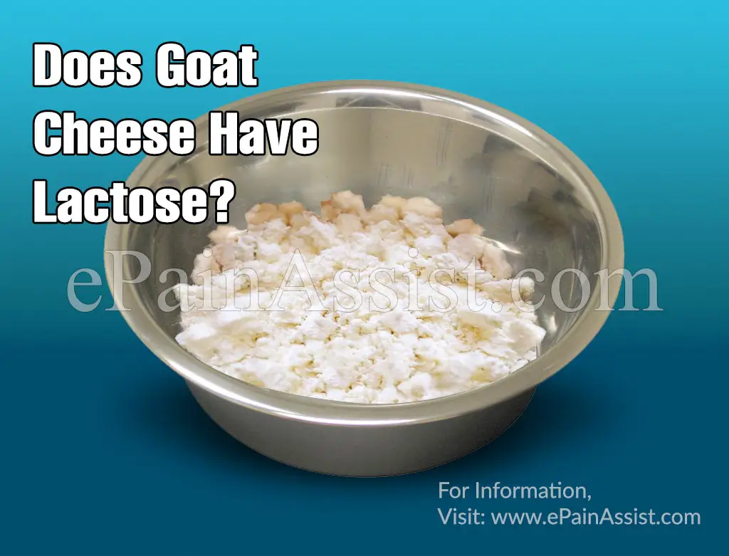 Does Goat Cheese Have Lactose &  is it Safe for Lactose ...