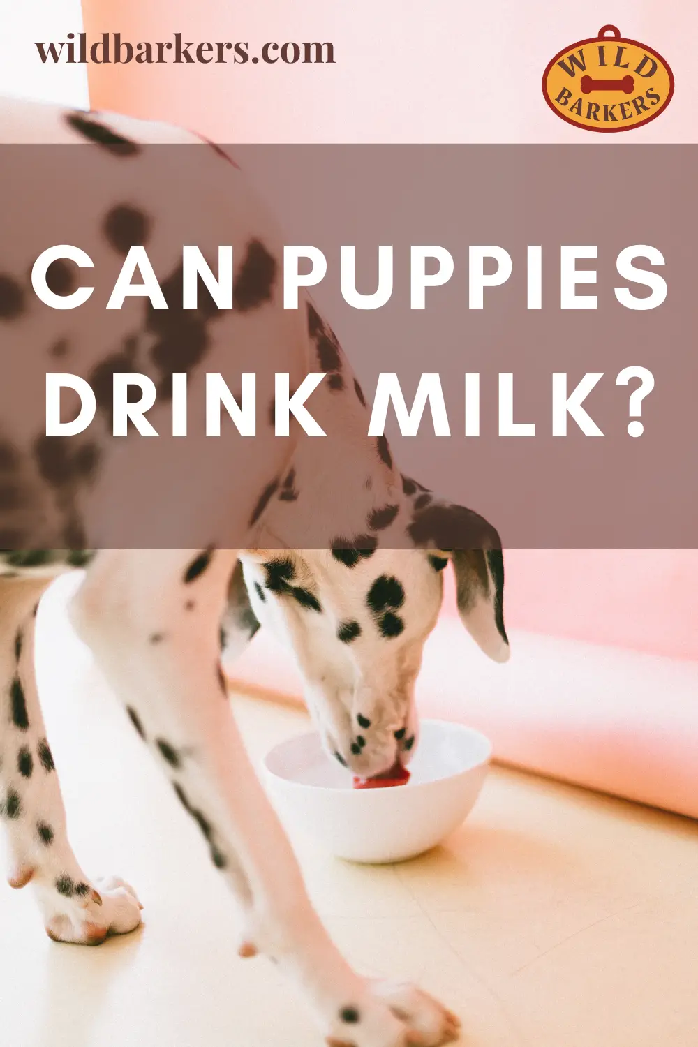 Dogs Drink Milk