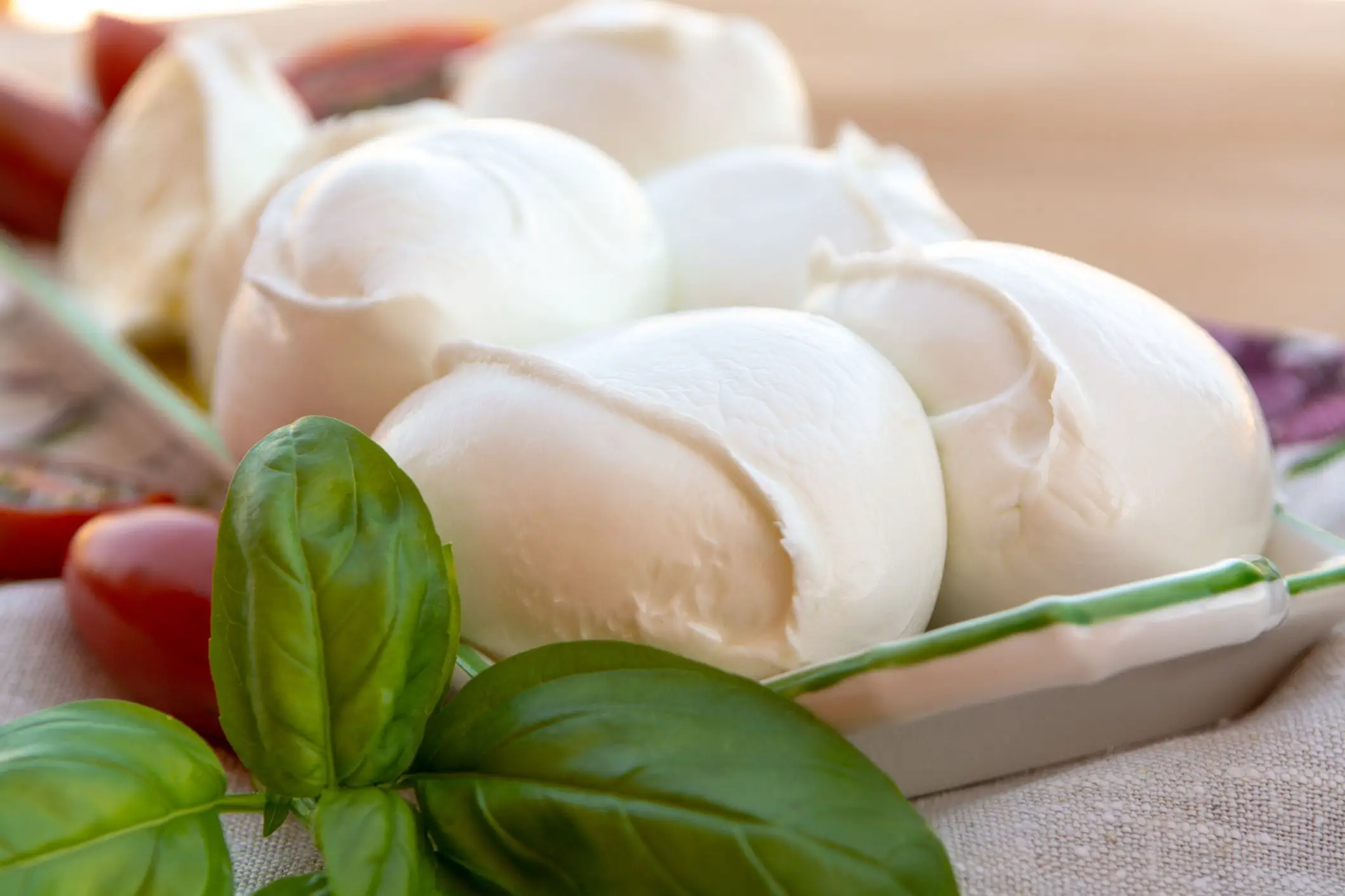 Fresh Mozzarella Cheese and How It Is Made