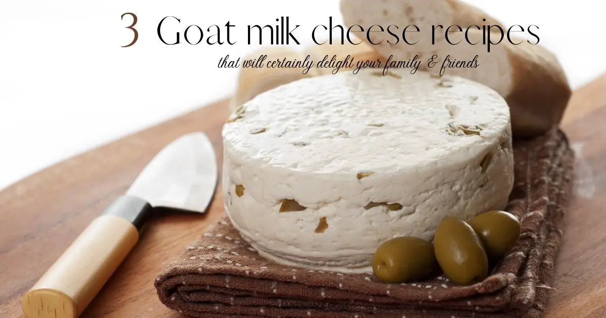 Goats Milk Cheese Recipes