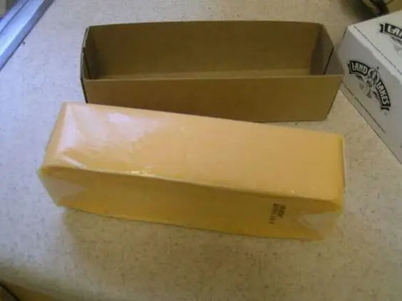 Government cheese. We used to eat the hell out of this!