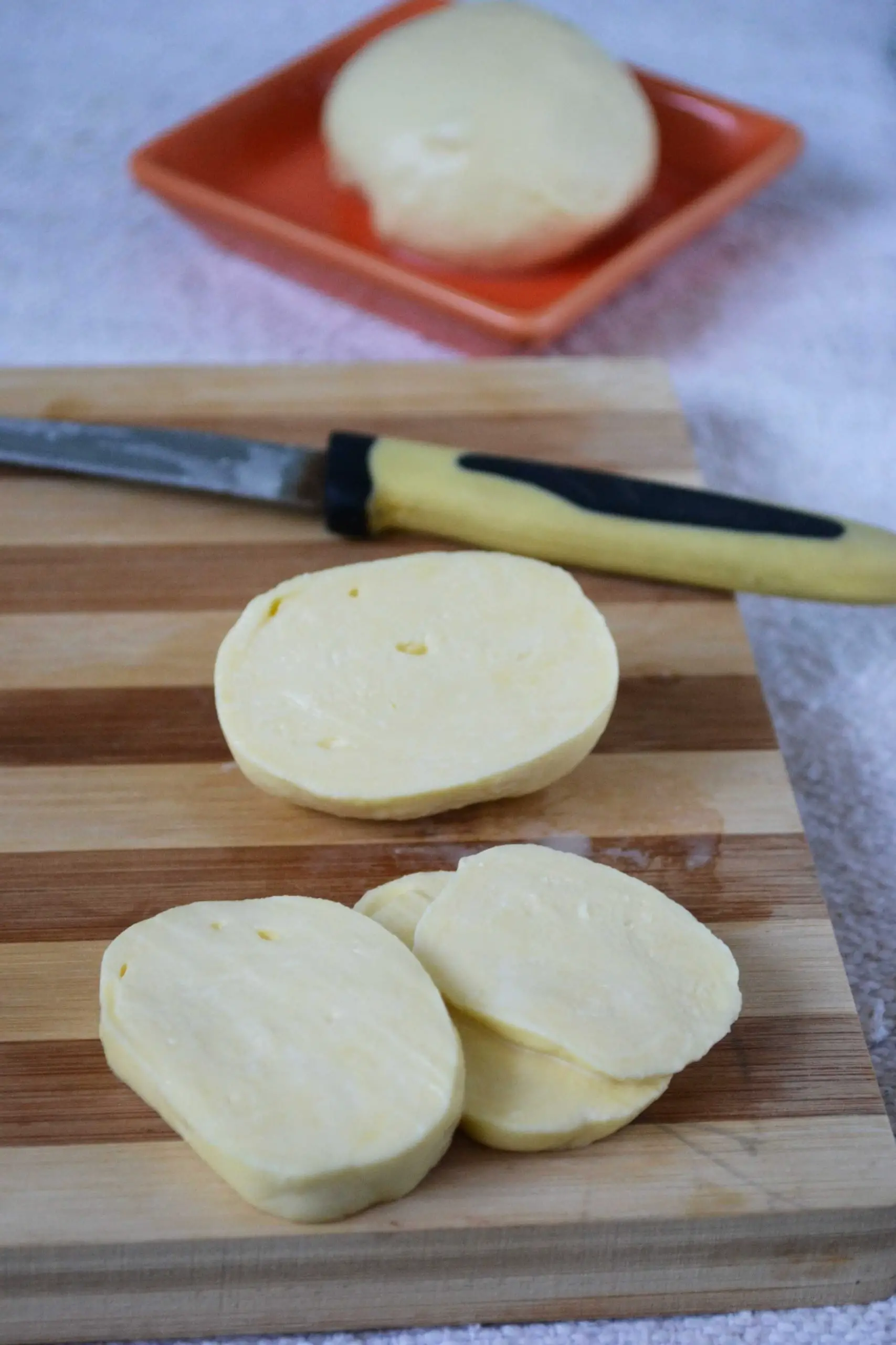 Home made Mozzarella Cheese Recipe