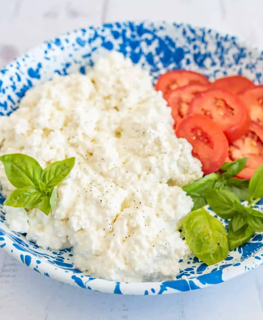 Homemade Cottage Cheese Recipe  Bless this Mess