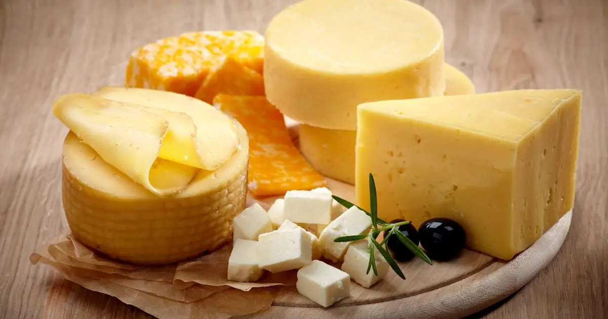 How Long Does Cheese Last?
