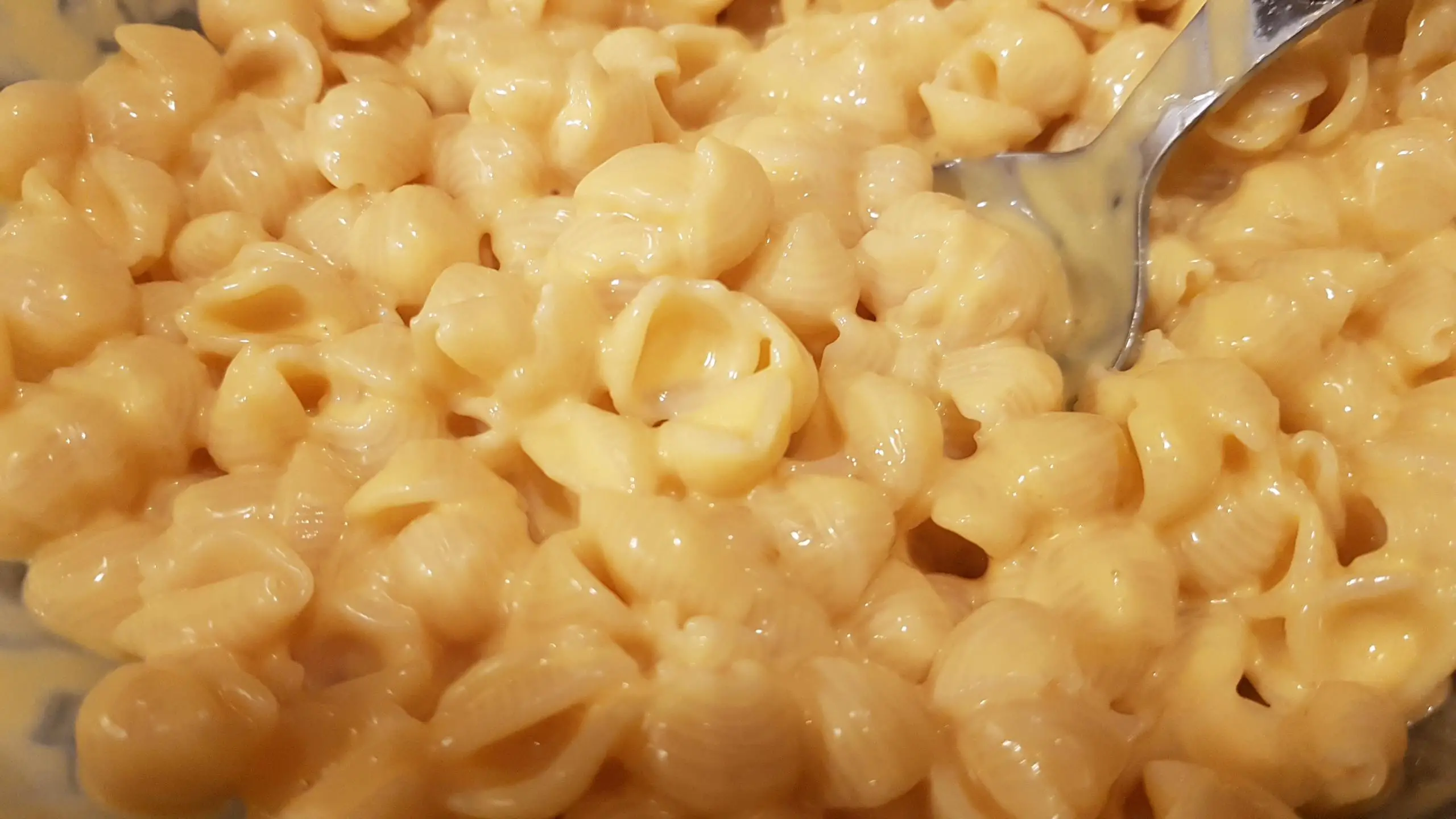 How to improve boxed mac and cheese: use alfredo sauce ...