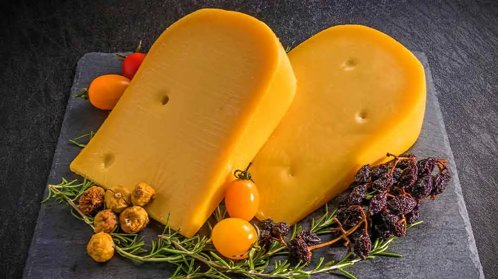 How To Make Gouda Cheese At Home