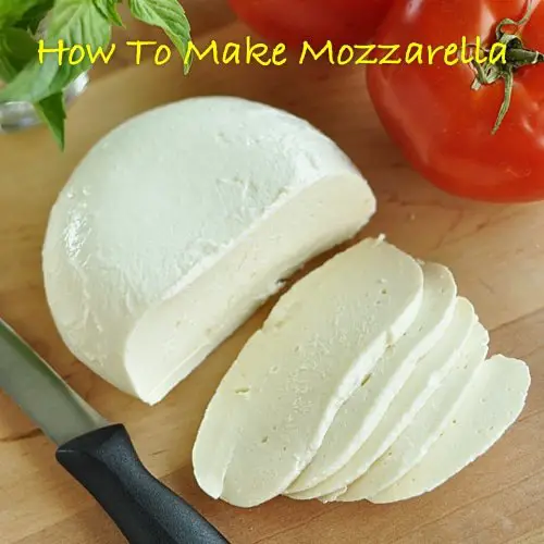 How To Make Homemade Mozzarella Cheese
