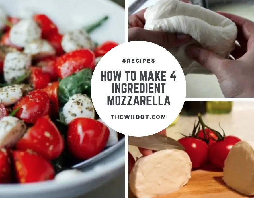 How To Make Mozzarella Cheese At Home