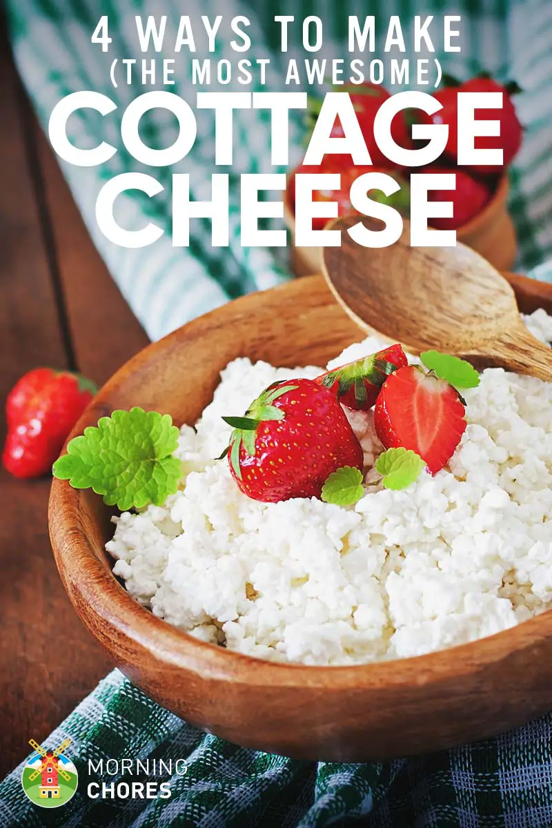 How to Make the Best Cottage Cheese Ever in 4 Different ...