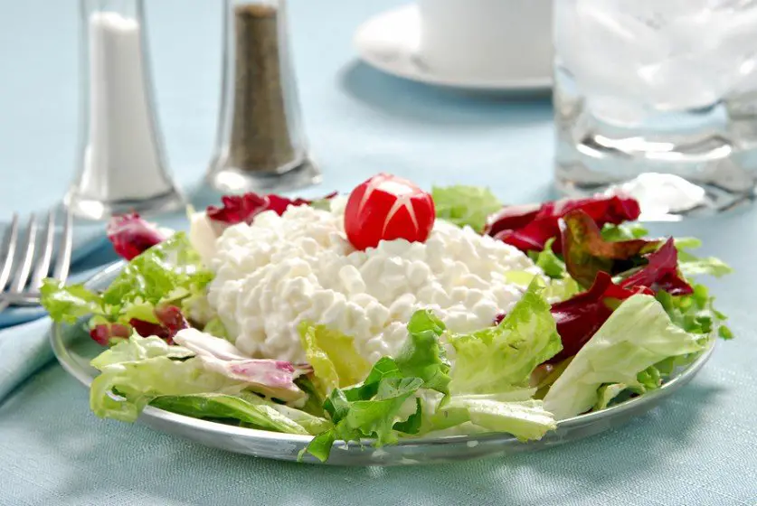 Is Cottage Cheese Good for Weight Loss? â Healthy Diet Base