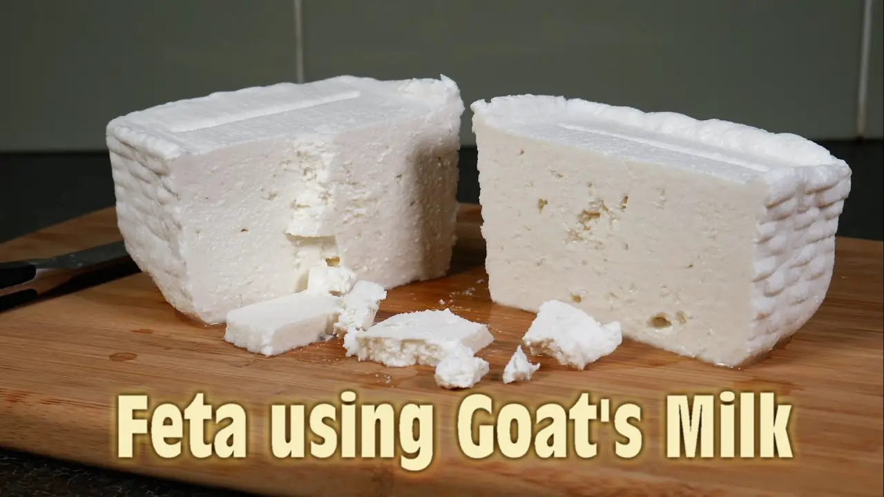 Making Feta using Goats Milk