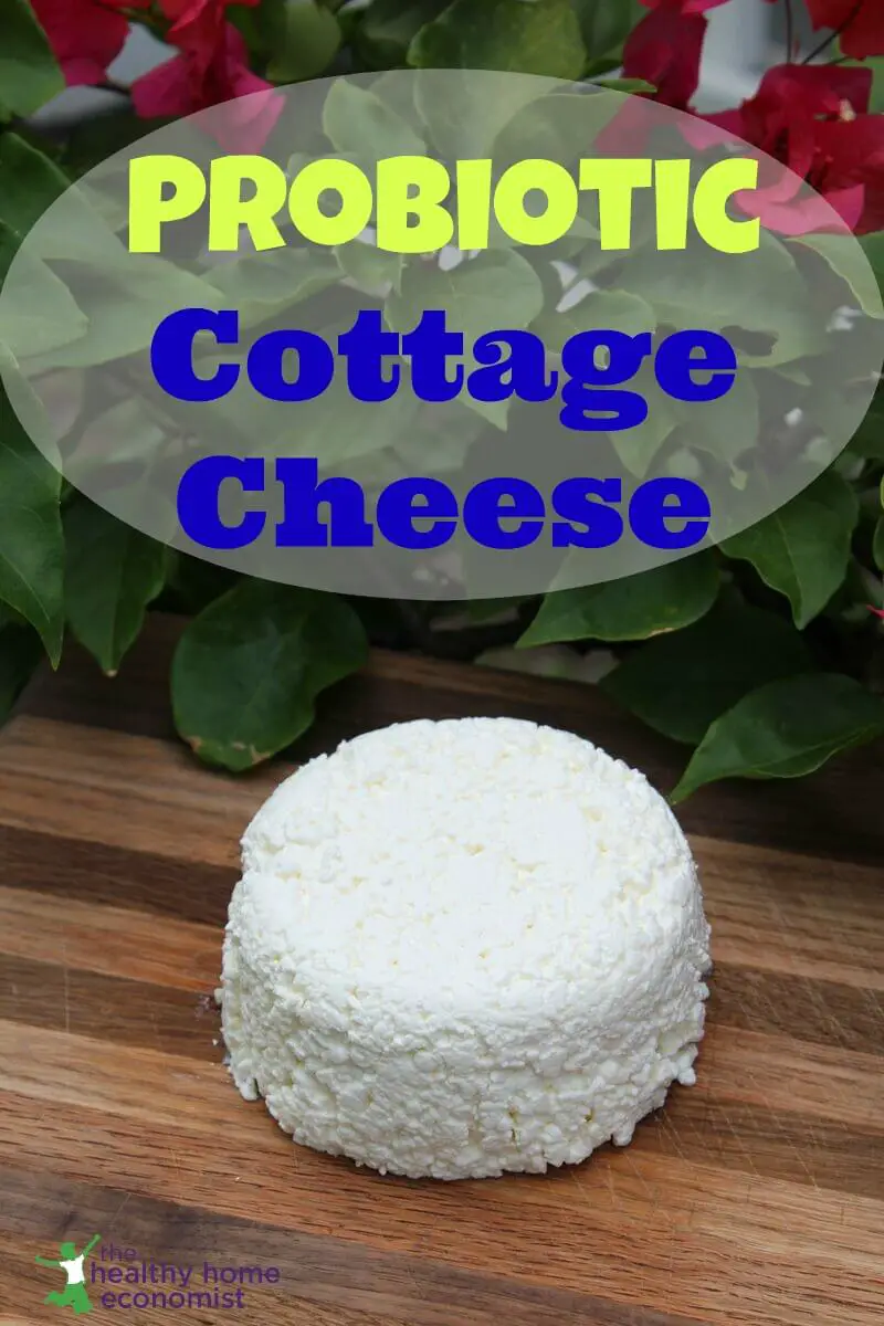 Probiotic Perfect Cottage Cheese