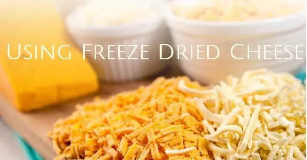 Product Highlight: Freeze Dried Cheese