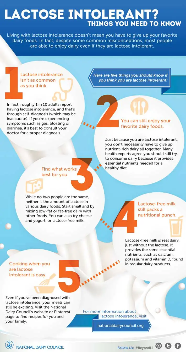 Snappy infographic on lactose intolerance
