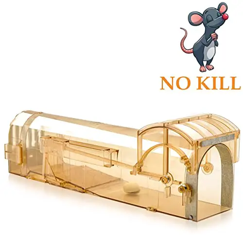 The Big Cheese Rat Cage Trap (Large, Humane, Live
