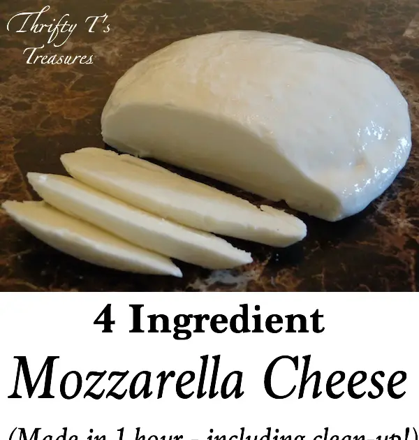 whats good to eat: How to make Mozzarella Cheese in ONE HOUR. Sounds ...
