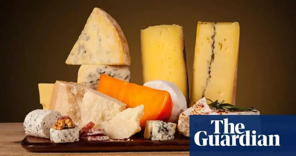 Whats the best way to store cheese? Cheese Hub