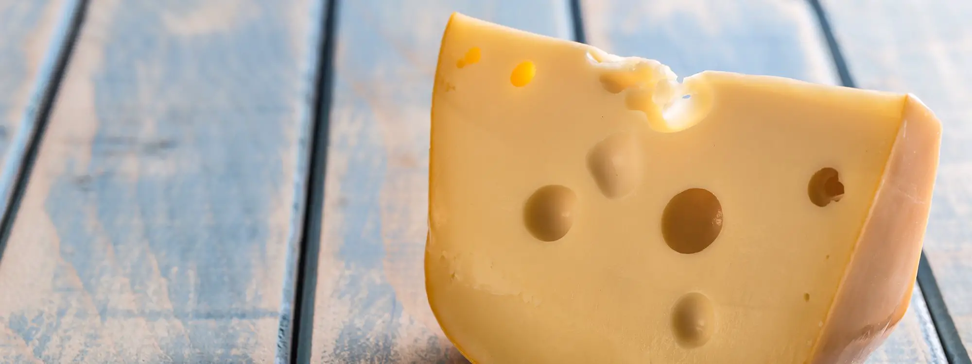 Why does Swiss cheese have holes?